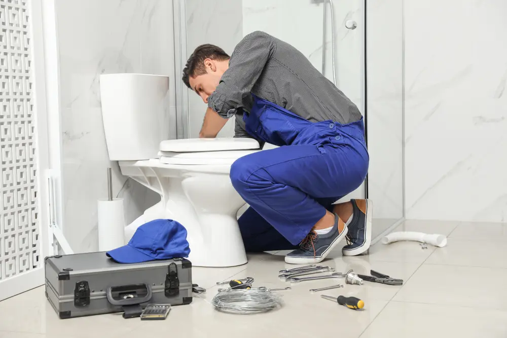 Toilet Repair in Nephi